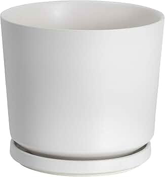 陶器鉢9個セット 61+RTVTTzfL._AC_UF350,